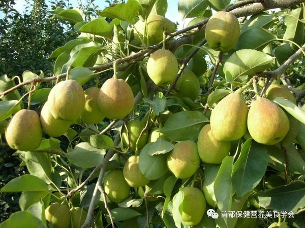 微信图片_20201117101019.jpg